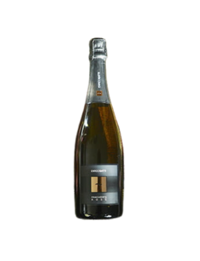 Franciacorta Rosé DOCG